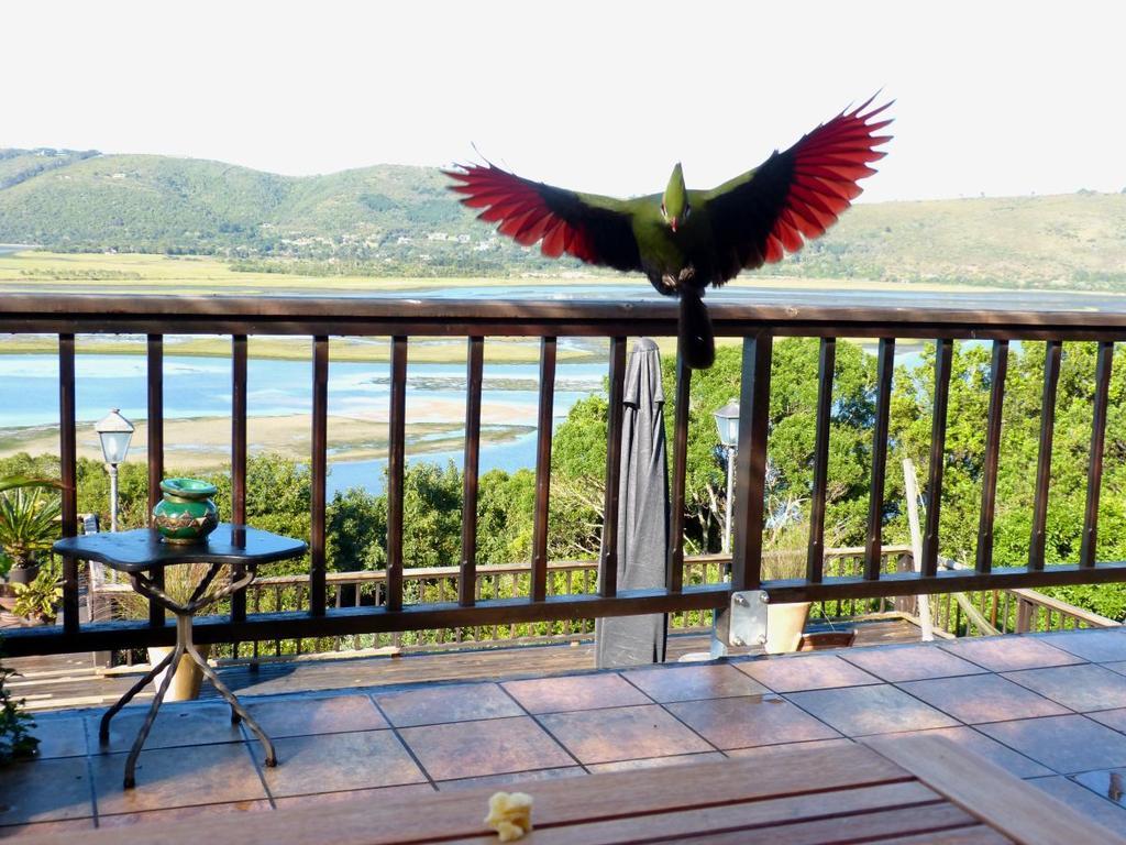 Knysnaviews Guest House الغرفة الصورة